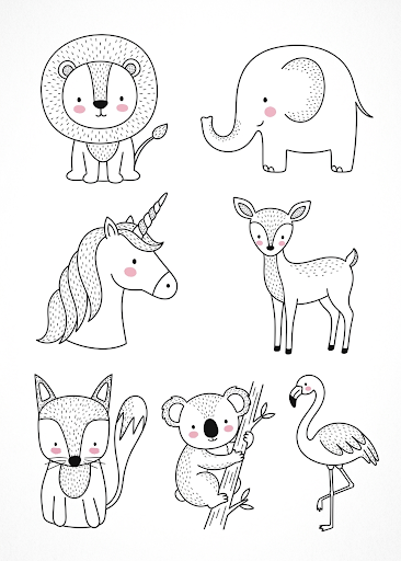 Boîte animaux