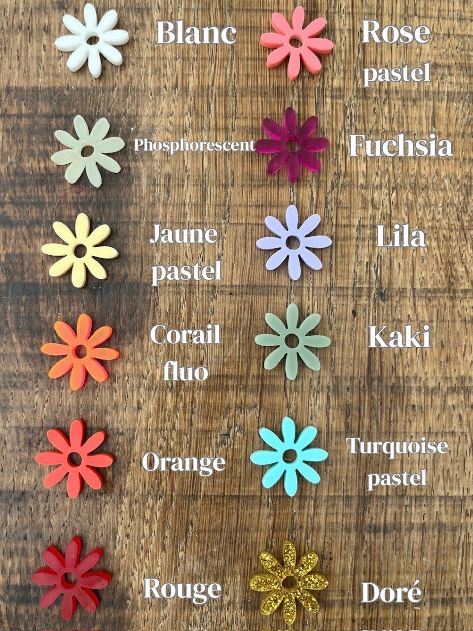 Couleurs marguerites